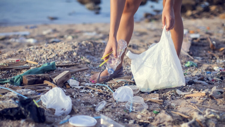 Plastic waste in the sea: World Cleanup Day