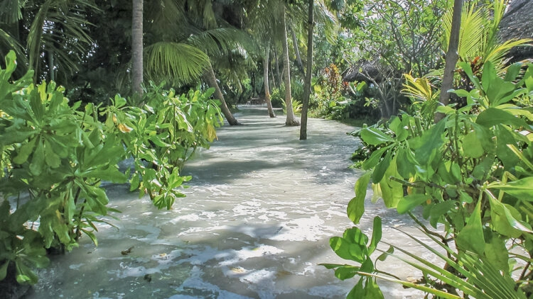Schwankender Meeresspiegel der Ozeane - Phänomen der Gezeiten: Kuramathi, Rasdhoo Atoll, Malediven
