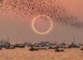 The Total Solar Eclipse 2026 in Mallorca