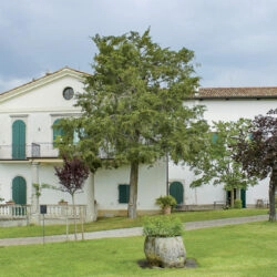 Italy - Upper Adriatic: Winery Castelvecchio in Sagrado