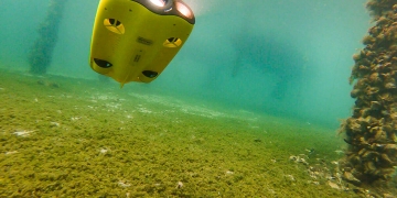 <span class="dachzeile">Underwater drone<span>: </span></span>Gladius Mini – an ideal device for the Adriatic Sea 4