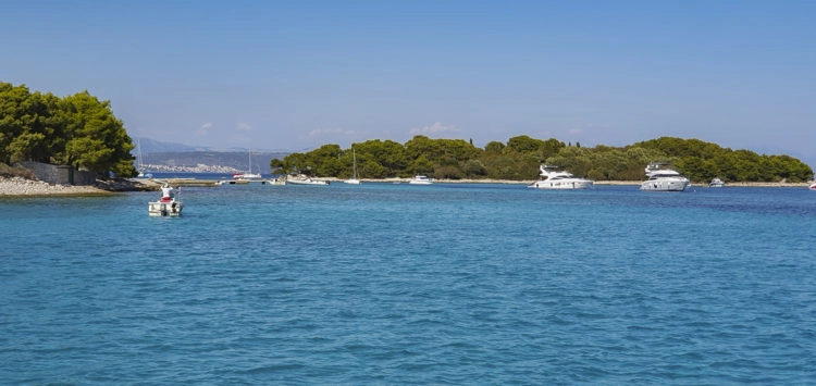 Kroatien Segeltörn: Insel Drvenik Veli Bucht Krknjasi