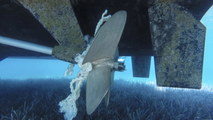SeaHelp Leistung: Leinen vom Propeller entfernen