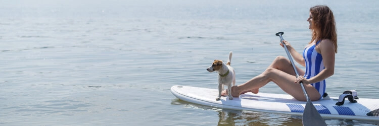 Haustier an Bord: stand up paddle mit dem Hund in der Bucht