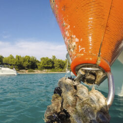 Buoy fields Croatia: Always check buoys beforehand