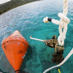Buoy fields Croatia: check the line of the buoy