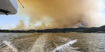 Achtung - Waldbrandgefahr: Waldbrände auch in Iatlien und Kroatien