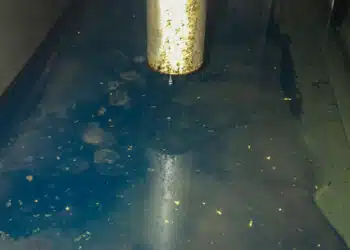 The diesel tank of a yacht: Once the fuel pump sucks in the solid components that have built up in the diesel tank over time, the fuel filters clog and the engine dies.