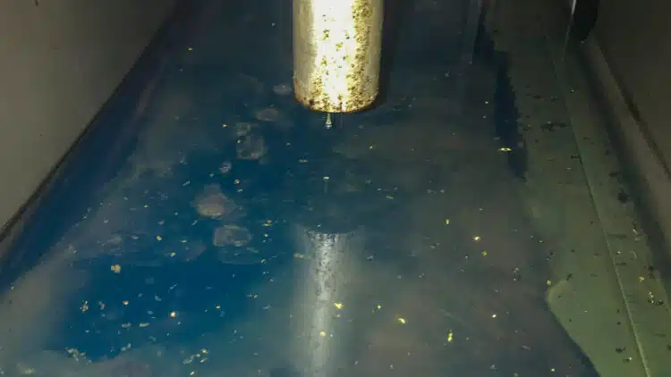 The diesel tank of a yacht: Once the fuel pump sucks in the solid components that have built up in the diesel tank over time, the fuel filters clog and the engine dies.