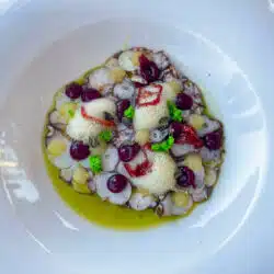 Preissituation in Kroatiens Restaurants: Octopus