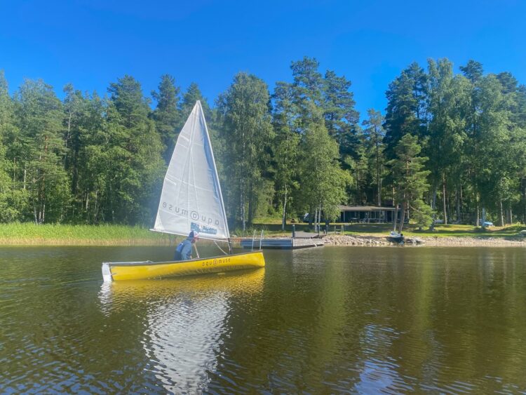 Insel Salonsaari