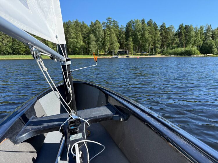 Insel Salonsaari