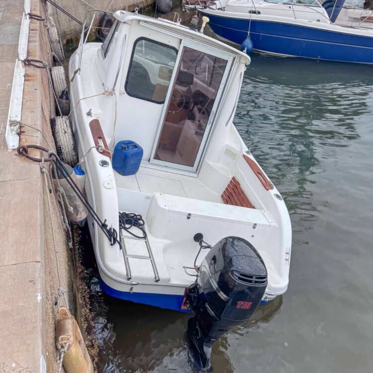 Meteotsunamis in the Adriatic: effects on the harbor of Mali Lošinj