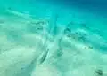 BreakAway Anchor - Pflugscharranker