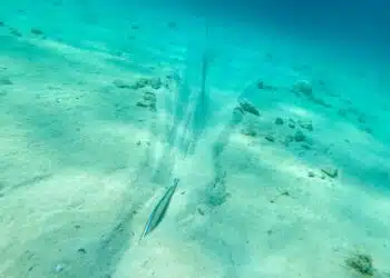 BreakAway Anchor - Plough anchor