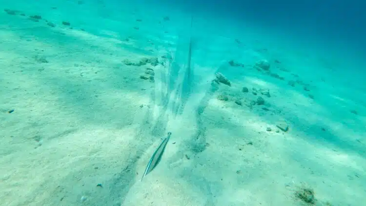 BreakAway Anchor - Pflugscharranker