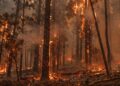 Großbrand Milna auf Brač